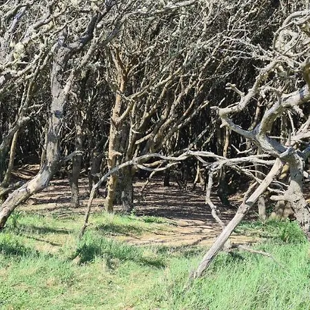 La Maraichine, Maison Bord De Mer, 3 Chambres, Jardin, Piscine Partagee Du Domaine Ferienhaus Talmont-Saint-Hilaire