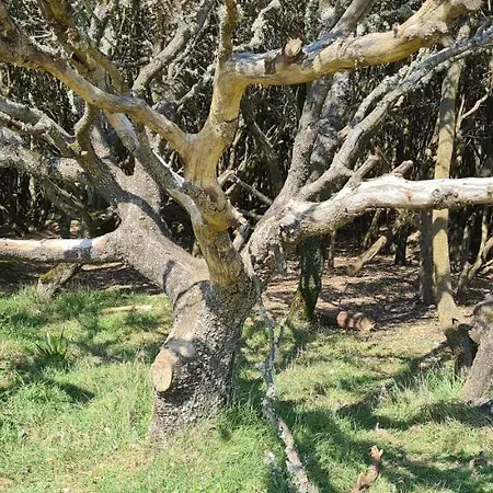 La Maraichine, Maison Bord De Mer, 3 Chambres, Jardin, Piscine Partagee Du Domaine